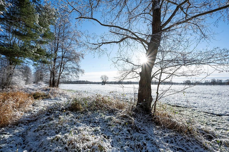 Snow