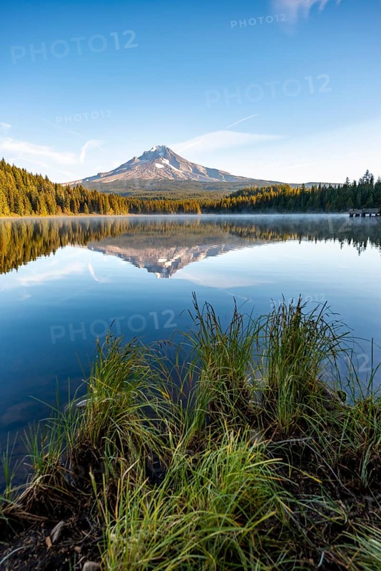 Lake shore with grass