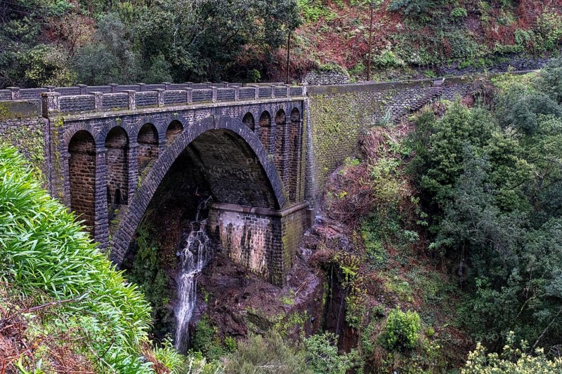 Bridge over green gorge with fog near Ribeiro Frio