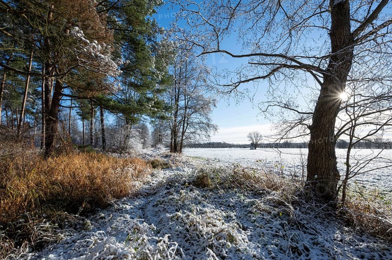 Snow