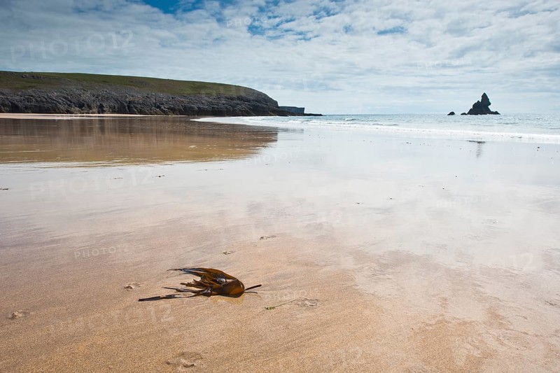 Rocky coast in Pembrokeshire National Park