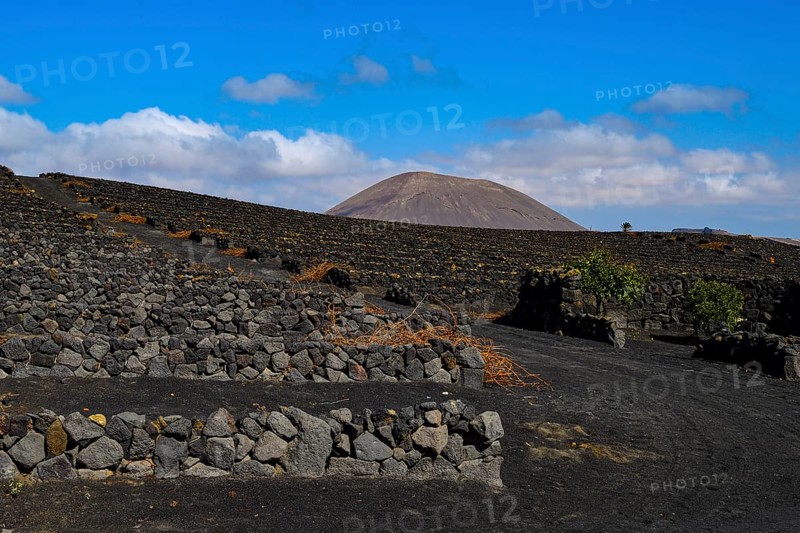Walls of lava rock on the estate of Bodega El Grifo