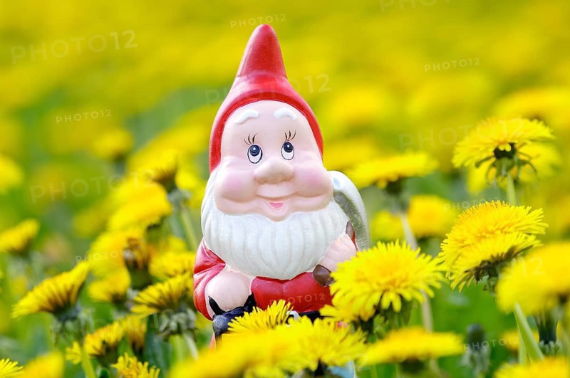 Garden gnome
