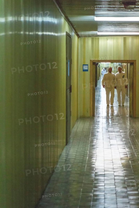 The Golden Corridor