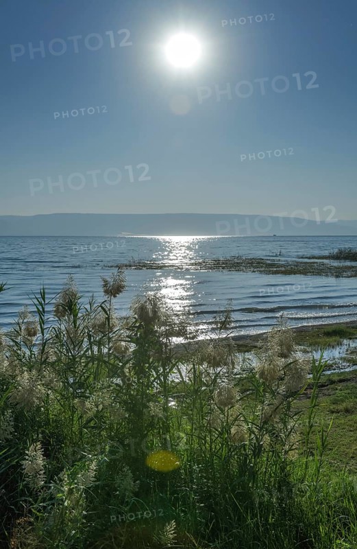 Beach near Migdal