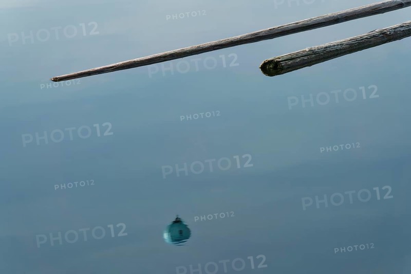 Flotsam in Lake Egel