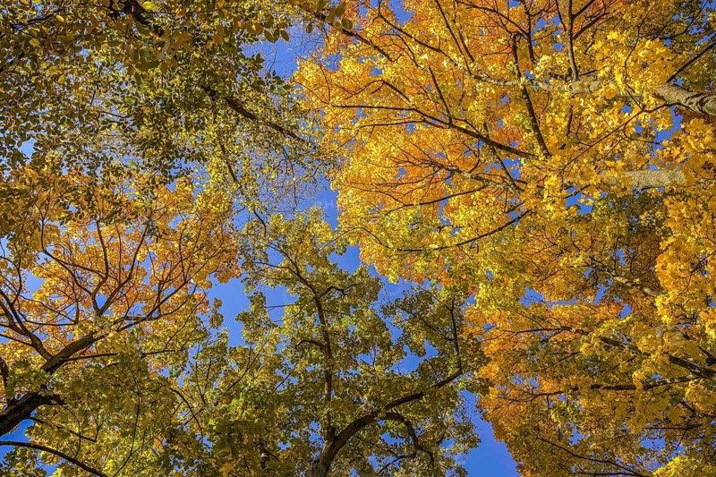 Autumn
