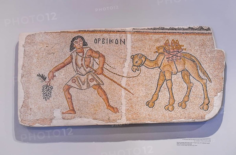 Mosaic