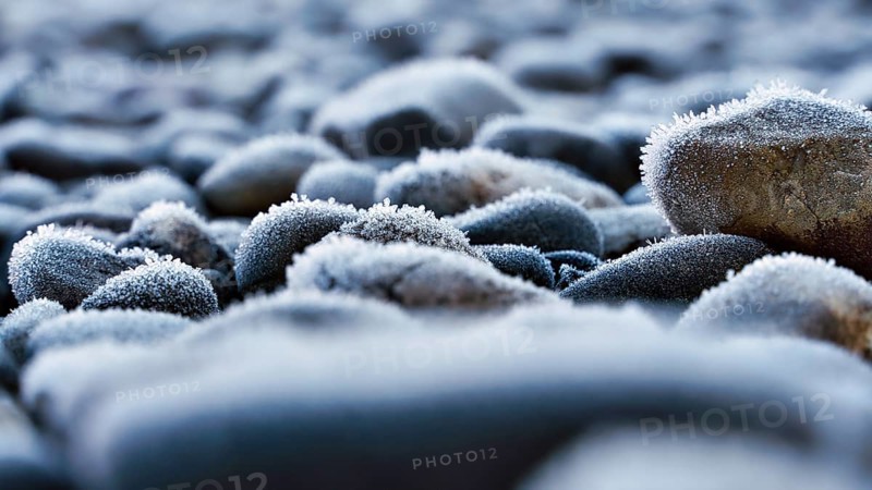 Macro