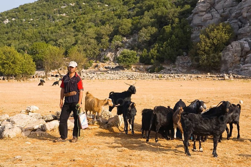 Goatherd on the Lycian Way