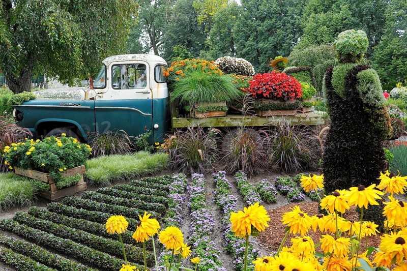 Flower beds