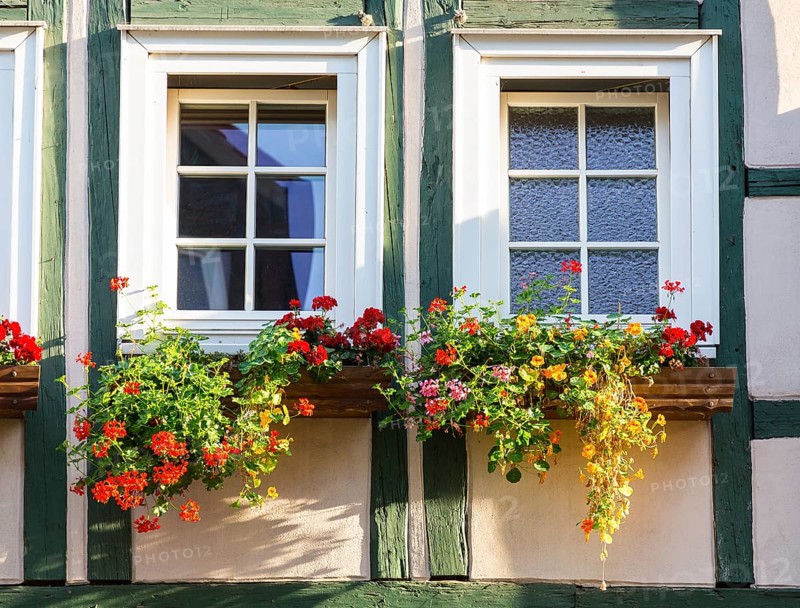 2 windows of a half-timbered house with flower boxes