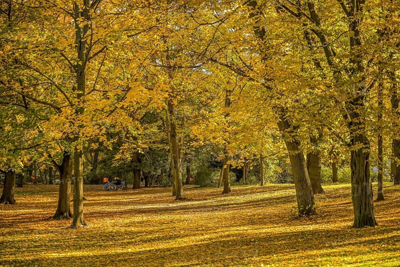 Autumn