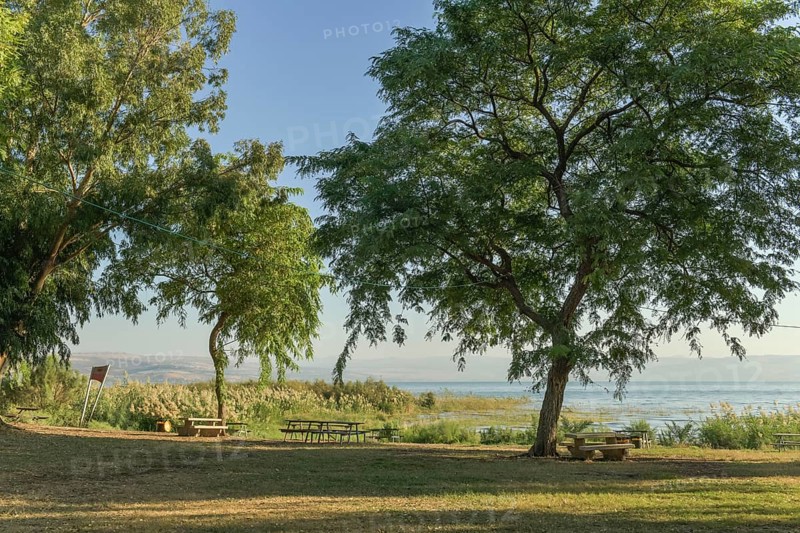 Park on the beach at Migdal
