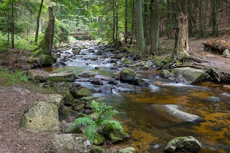 Mountain river Ilse