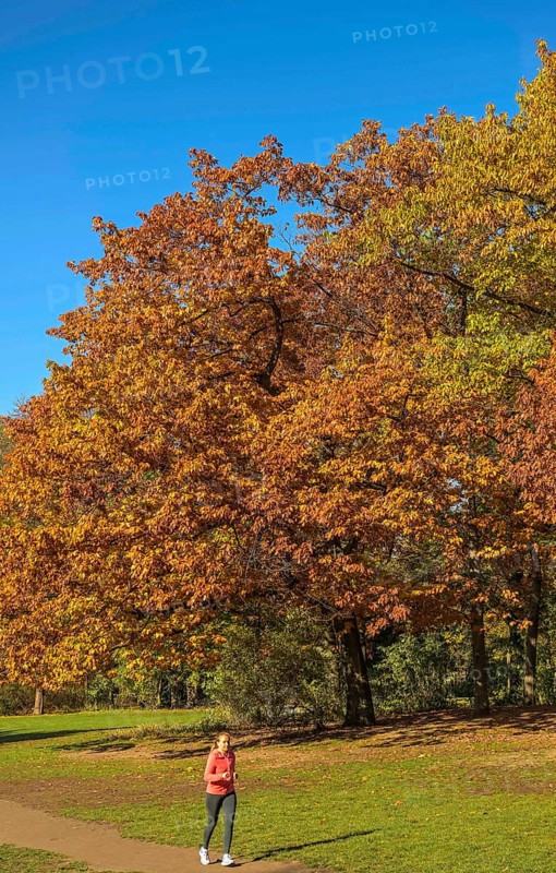 Autumn