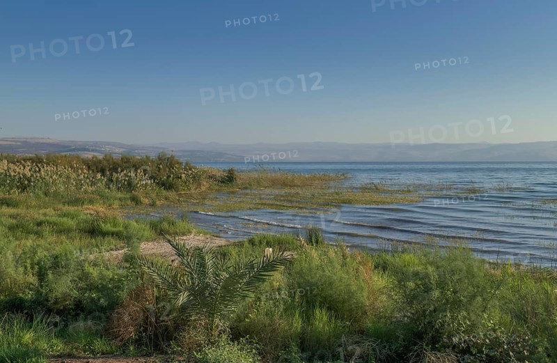 Beach near Migdal