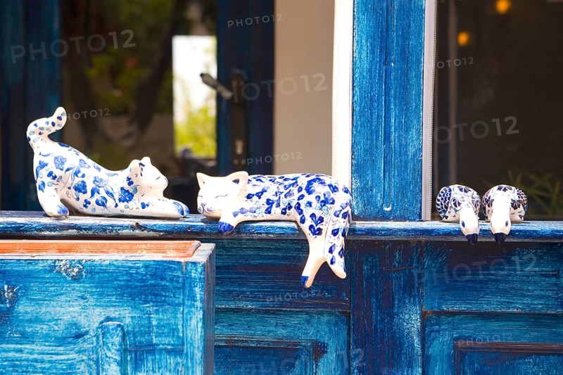Procellan cats