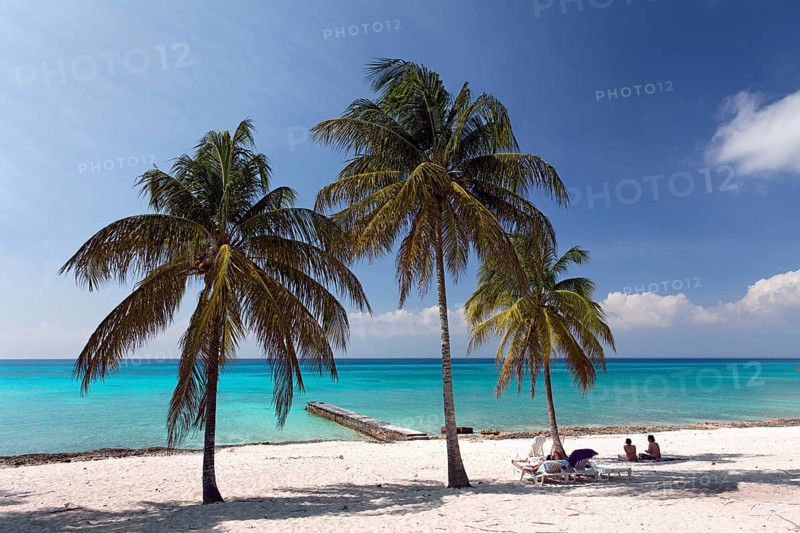Sandy beach beach with palm trees