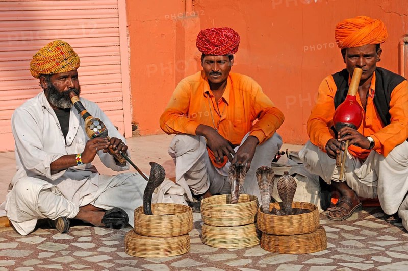 Snake charmer