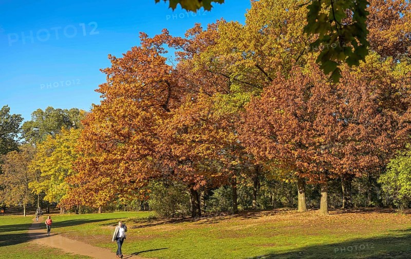 Autumn