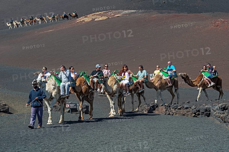 Tourists riding dromedaries in Timanfaya National Park