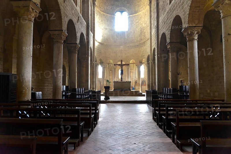 Nave