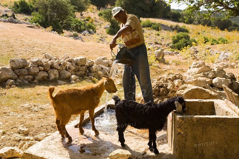Goatherd on the Lycian Way