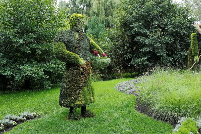 Plant sculpture