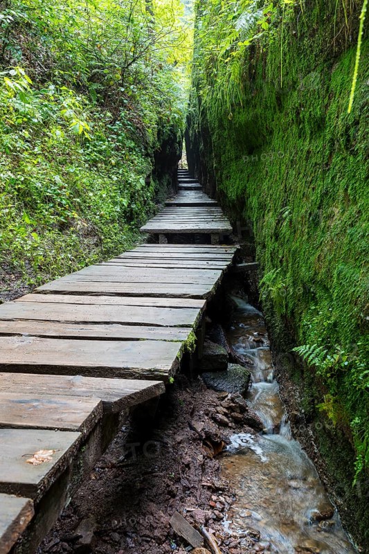Boardwalk through narrows of the Drachenschlucht