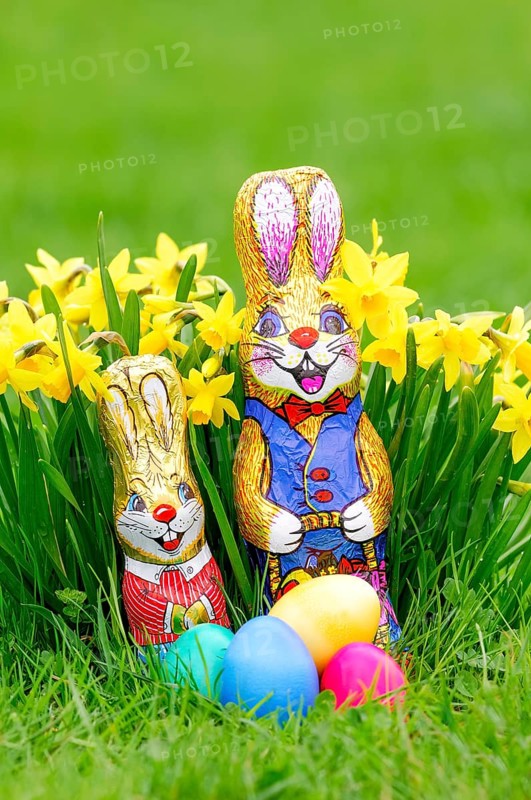 Easter bunnies