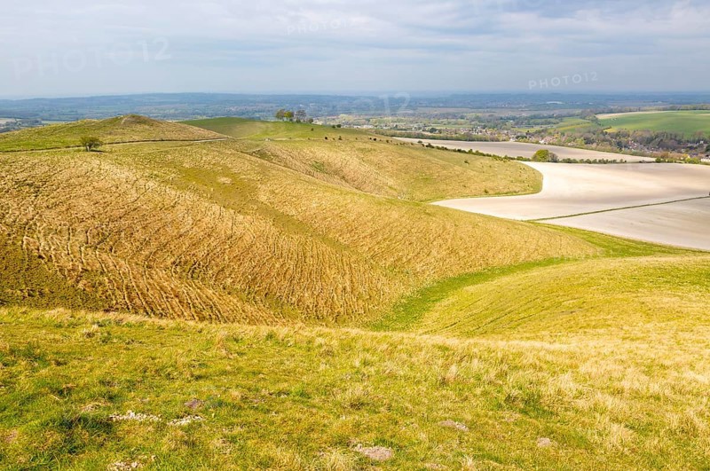 Steep chalk scarp slope Oldbury castel Cherhill Down