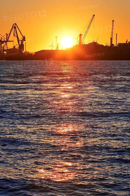 Norderelbe with cranes at sunrise