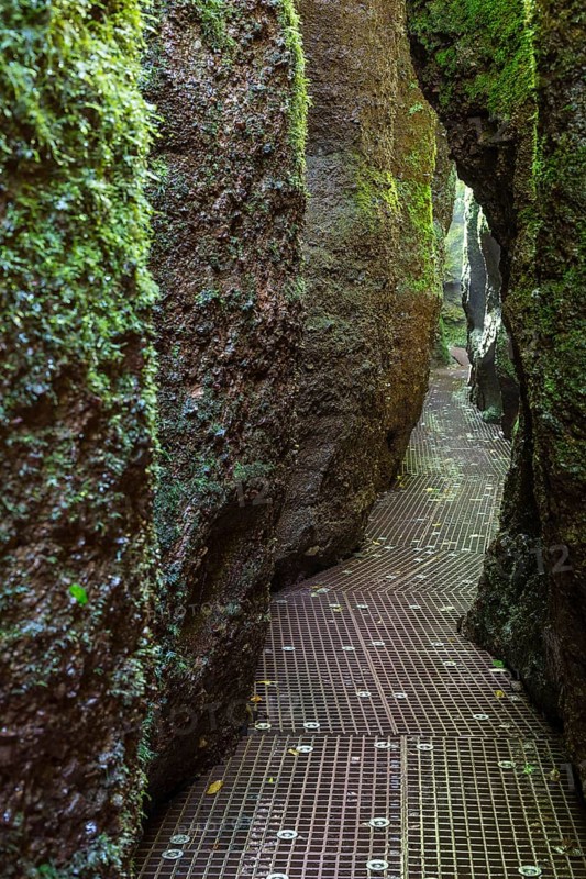 Hiking trail through narrows of the Drachenschlucht