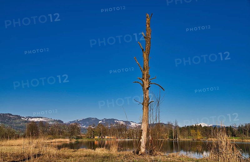 Cold spring day