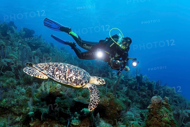 Cuban diver