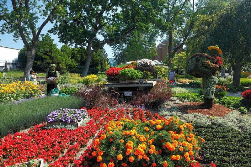 Flower beds