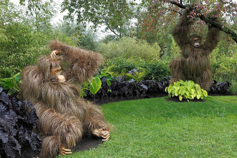 Monkey