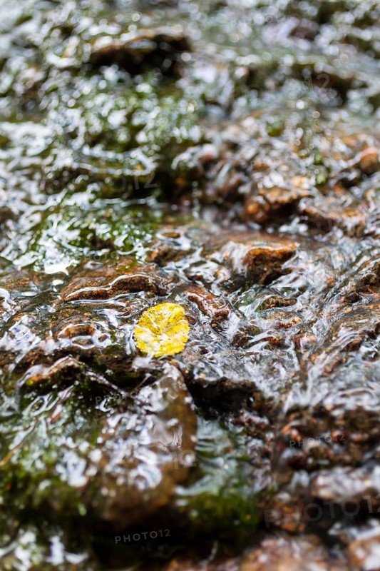 Water flowing down a rock face