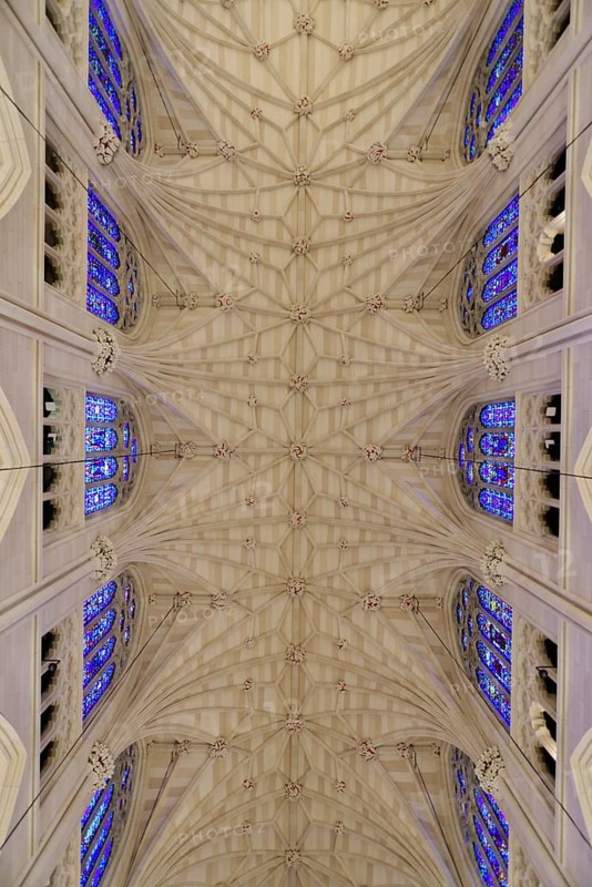 Vaulted Ceiling