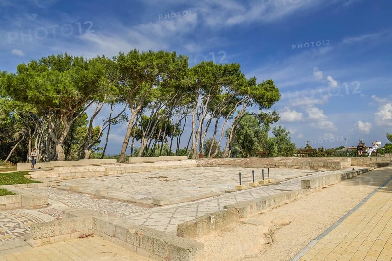 House of the bird mosaics