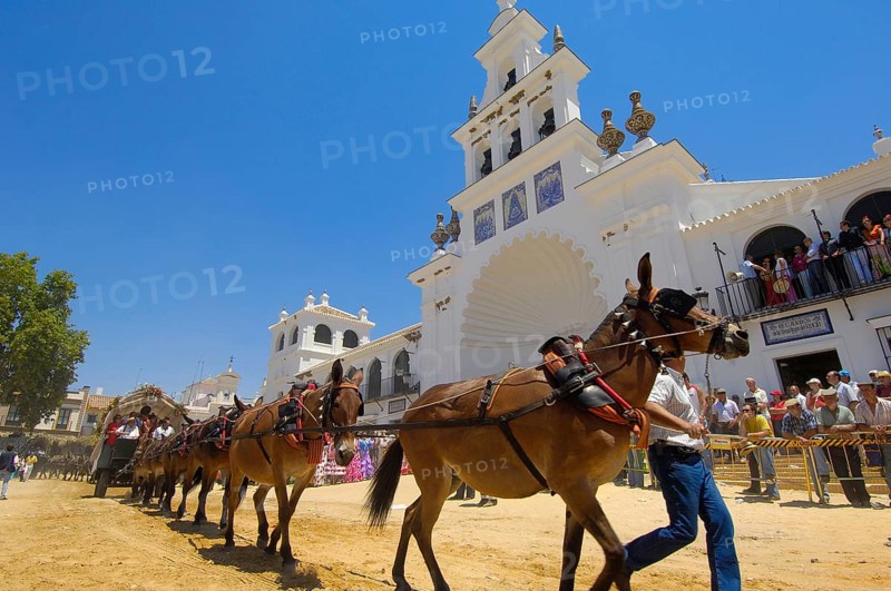 Romeria pilgrimage to El Rocio, 2009