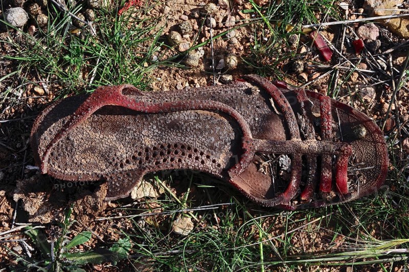 Ailing women's sandal in the grass