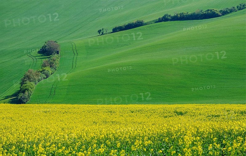 Beautiful and colorful abstract landscape