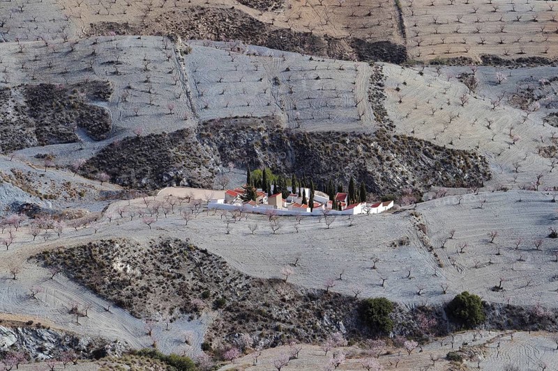 Supervision of cemetery in the valley of an almond plantation in front of flowering