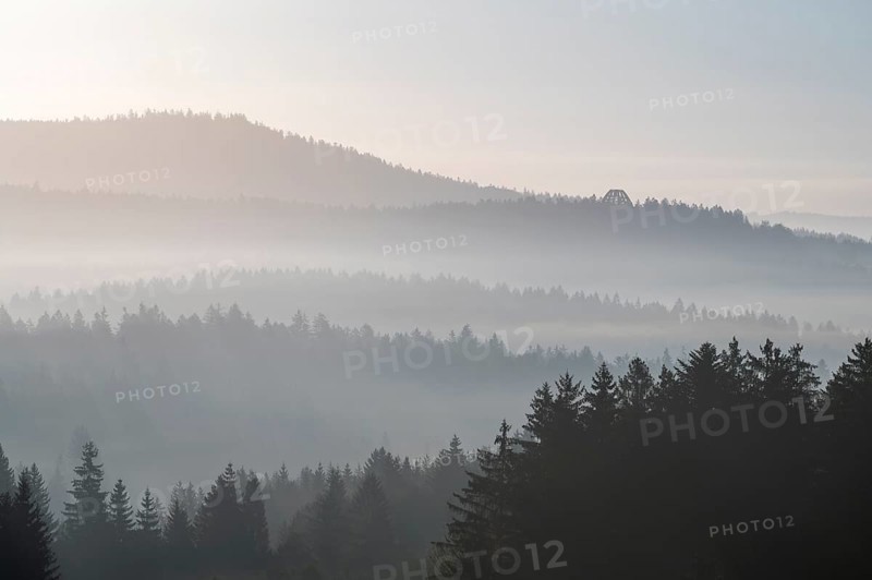 Morning mist in the Bavarian Forest