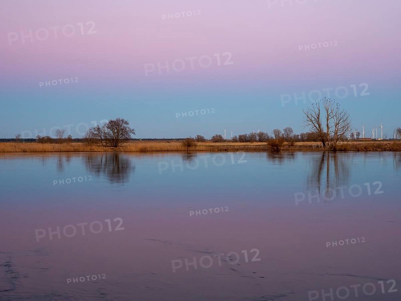 Elbe at sunset