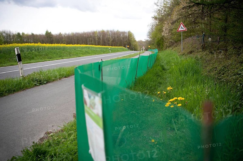 Amphibian protection fence