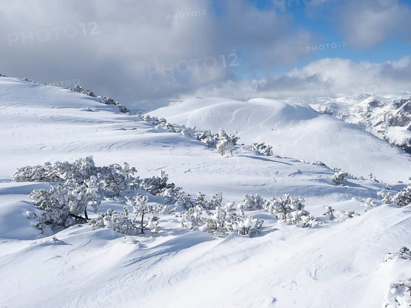 Winter landscape