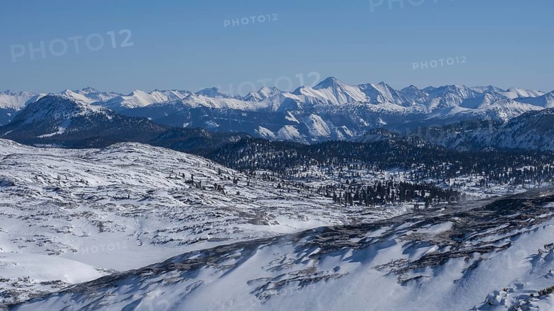 Winter landscape